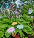 Blomst - gul thumbnail