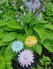 Blomst - gul thumbnail