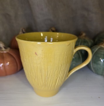 Gul kopp - kantarell 