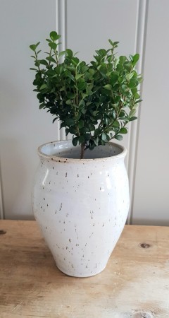 Vase, hvit med lavsspetter