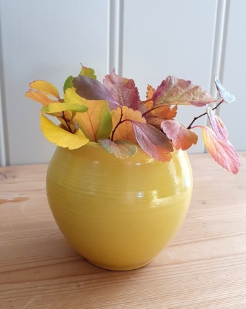 Solgul vase