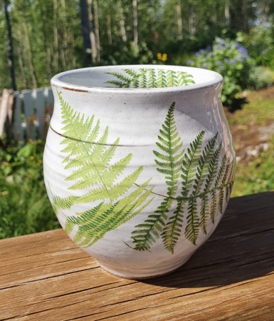 Vase med bregner