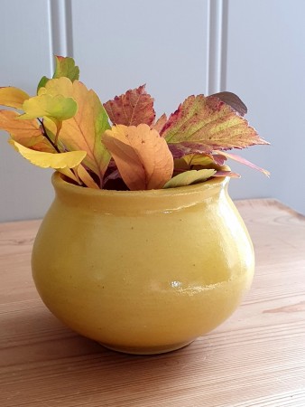 Gul vase