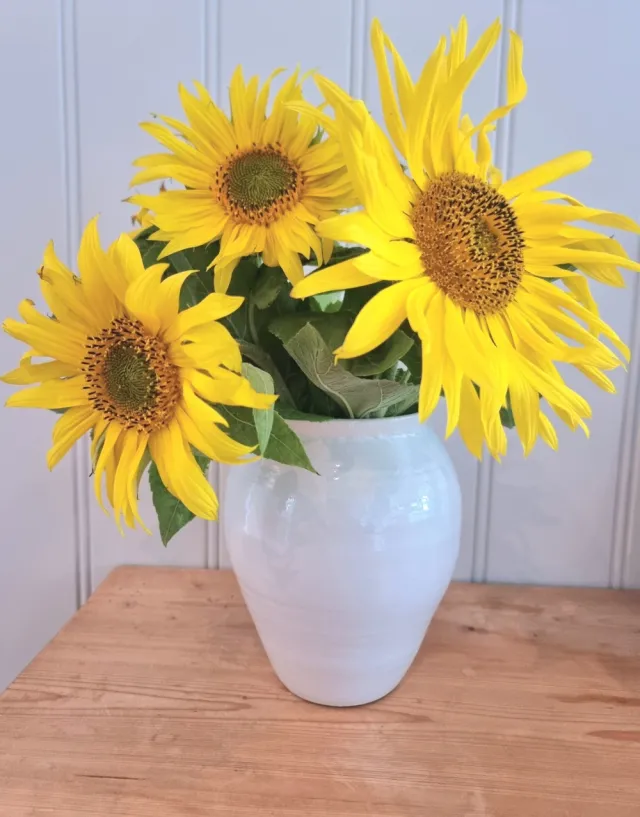 Hvit vase